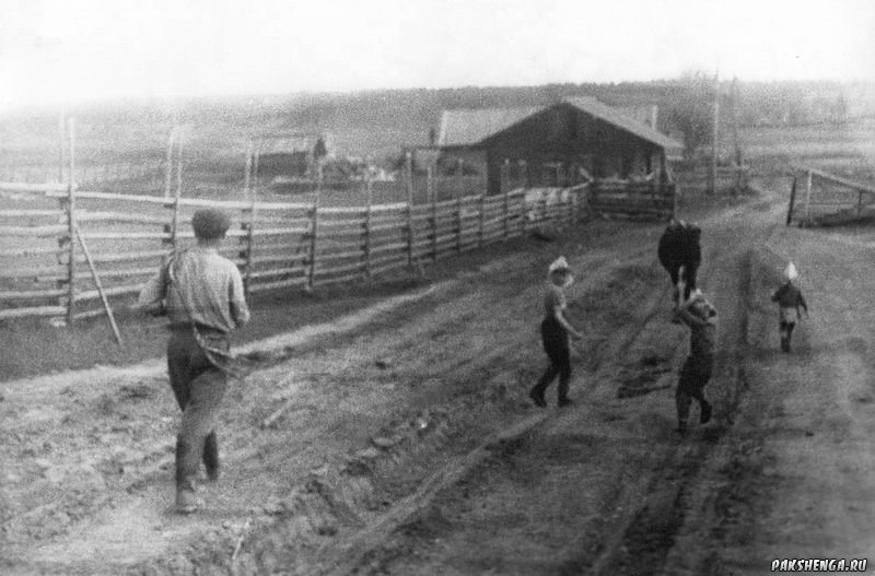 В деревне Подгорье.