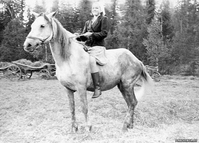 1961 год. На Чурге в сенокос