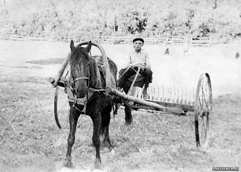 На сенокосе. 1960 года...