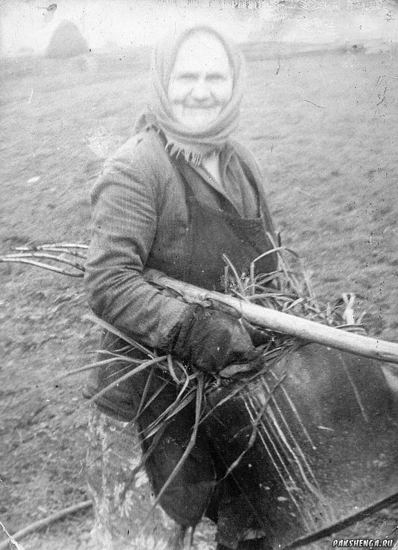 Лодыгина Александра Ивановна с д. Степанковская