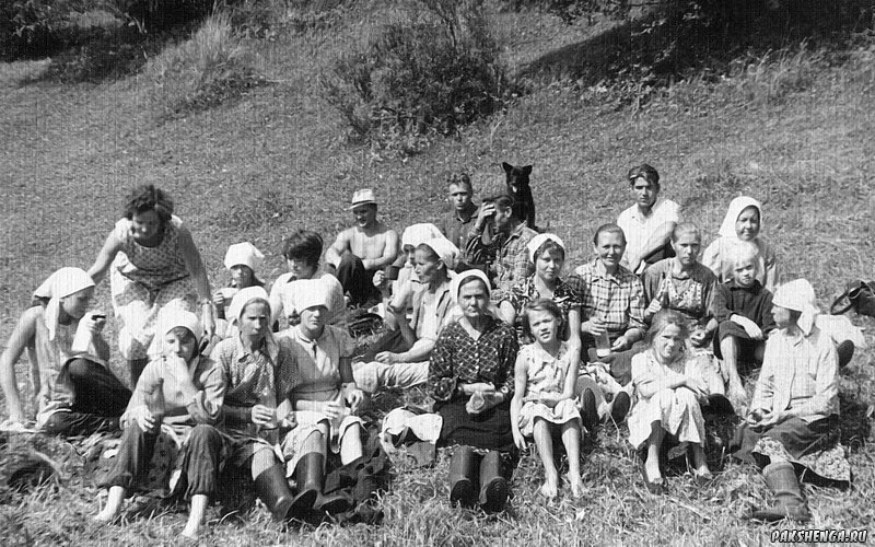 На сенокосе. Кулаковская бригада. 2 августа 1964 года.