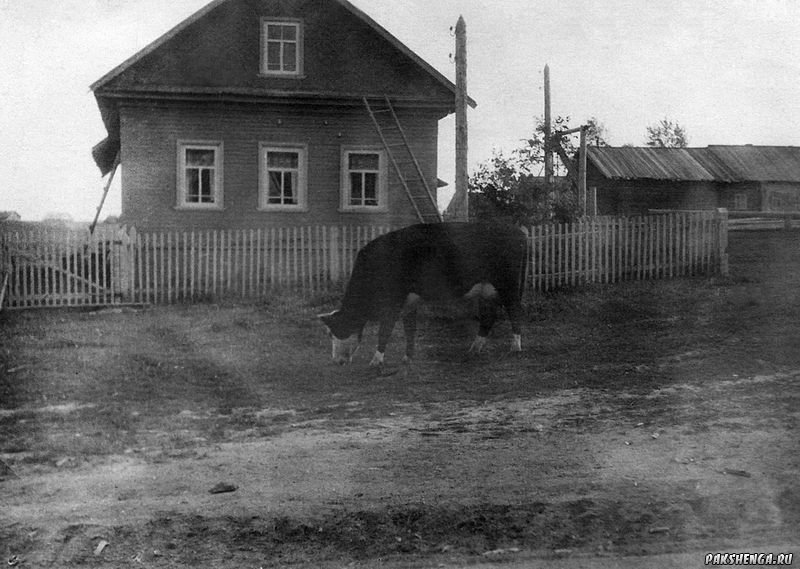 Дом Лодыгина Александра Николаевича. Д. Подгорье.