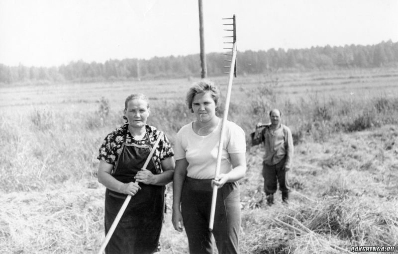 Фото из домашнего архива Третьякова Виктора Александровича