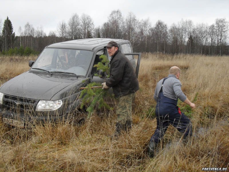 Поездка в д. Заречье