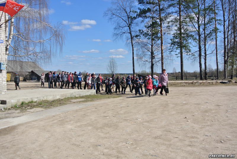 Автопробег Совета молодежи г. Вельска посвященный Дню Победы. 6 мая 2015 года. 