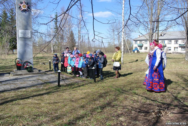 Автопробег Совета молодежи г. Вельска посвященный Дню Победы. 6 мая 2015 года. 