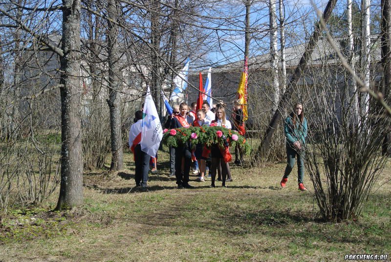 Автопробег Совета молодежи г. Вельска посвященный Дню Победы. 6 мая 2015 года. 