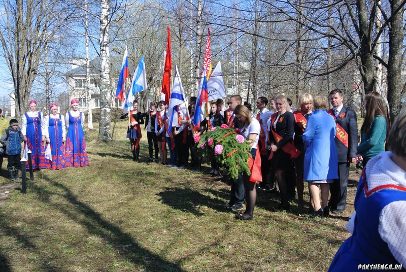 Автопробег Совета молодежи г. Вельска посвященный Дню Победы. 6 мая 2015 года. 