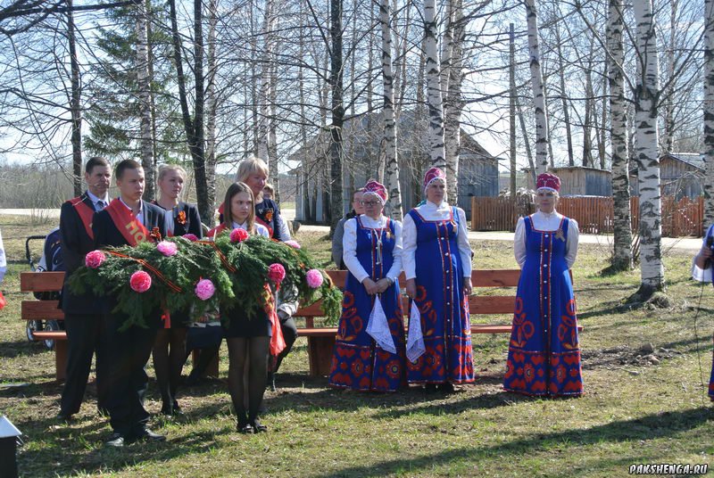 Автопробег Совета молодежи г. Вельска посвященный Дню Победы. 6 мая 2015 года. 