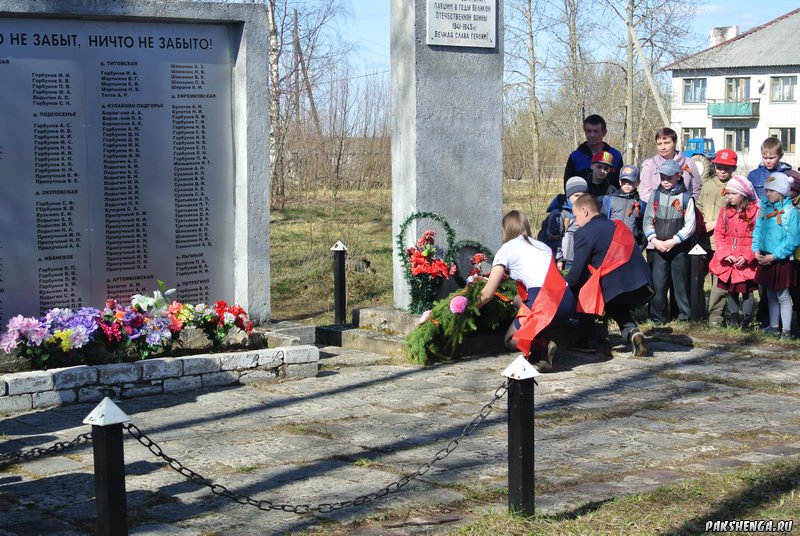 Автопробег Совета молодежи г. Вельска посвященный Дню Победы. 6 мая 2015 года. 