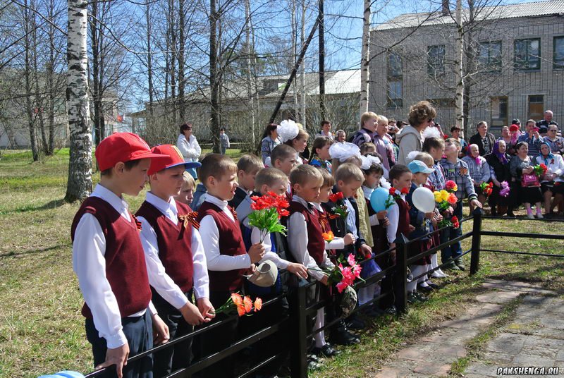 На митинге 9 мая 2015 года