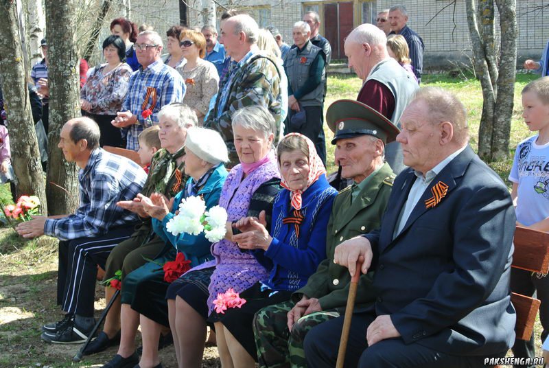 На митинге 9 мая 2015 года