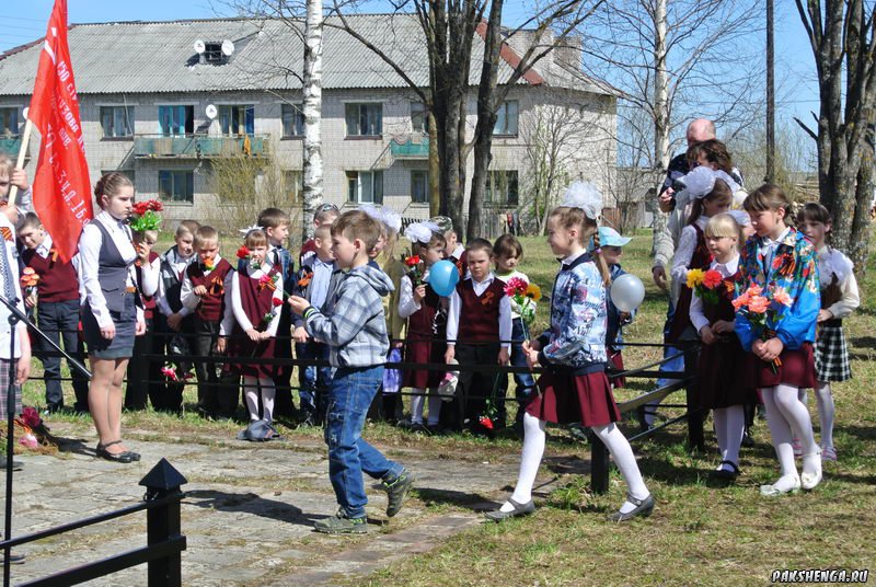 На митинге 9 мая 2015 года