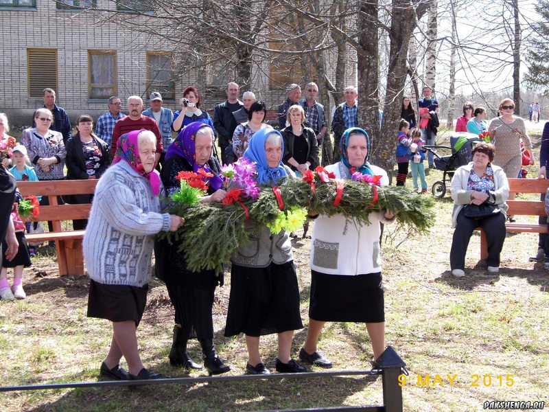 На митинге 9 мая 2015 года