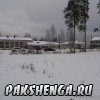 pakshenga-1000661